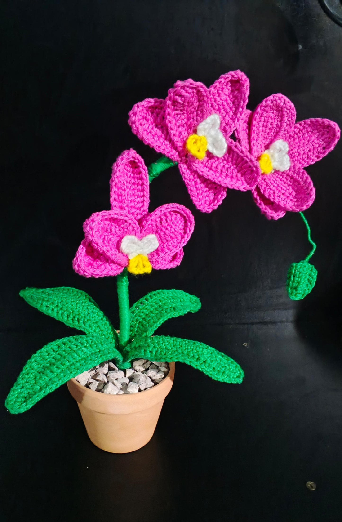 Variedades tejidas a crochet