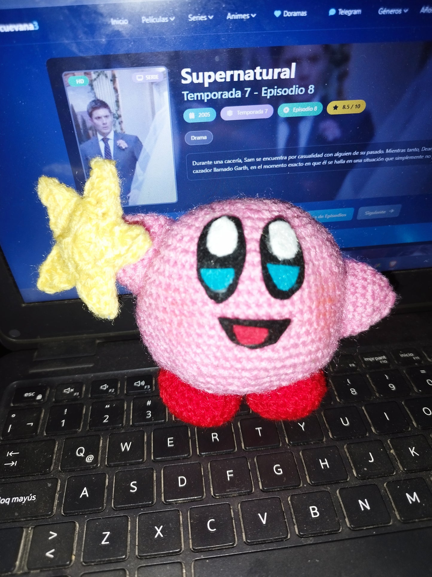 Variedades tejidas a crochet